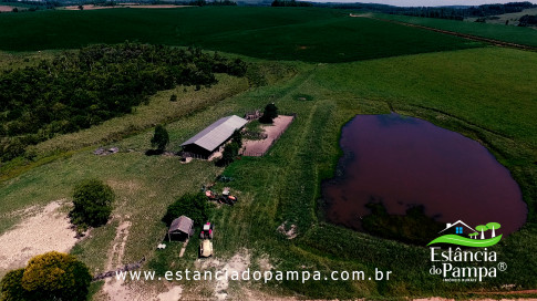 INICIO 3.00_01_34_27.Quadro013_09c931875bc2332a3383b51553d35b5cbc987bc2.jpg